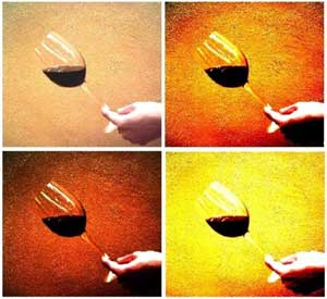 Wine Photo of The Day by VYNO — Click photo for larger image Wine Photo of The Day by VYNO — Click photo for larger image