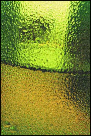 Wine Photo of The Day by Nic Name — Click photo for larger image