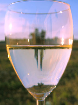 Wine Photo of The Day by pixle — Click photo for larger image