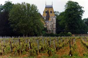Wine Photo of The Day by PhillipC — Click photo for larger image